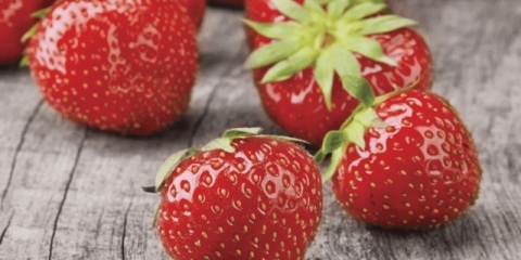 Kako napraviti marmeladu od jagoda kod kuće